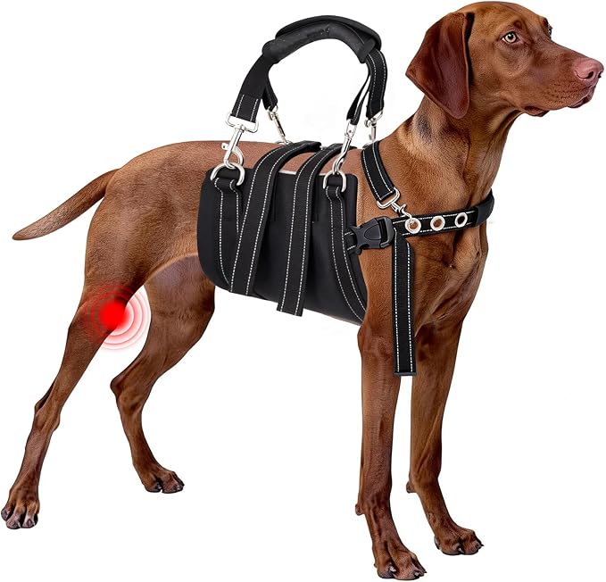 CWV Female Dog Sling for Back Legs, Dog Lift Harness, Magic Tape Dog Sling for Large Dogs Hind Leg Support, Medium, White ＆ Black