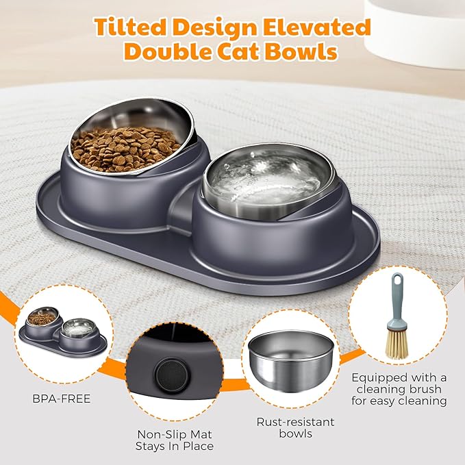 Elevated Cat Bowls Set of 2 Stainless Steel Bowl, Small Dog Food and Water Feeder with Non Spill Skid Resistant Mat,Tilted Dog Food Bowls Elevated Anti Vomiting, Ant Proof Cat Food Bowls
