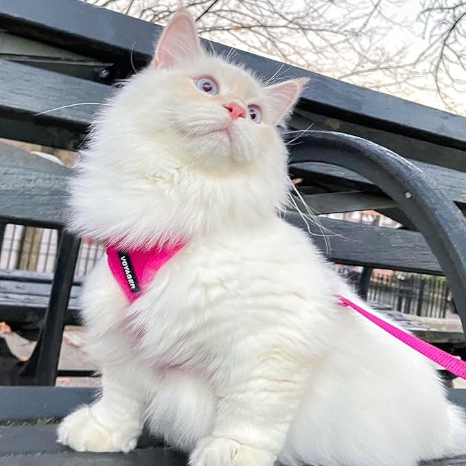 Voyager Escape-Proof Step-in Lock Cat Harness & 5ft Neoprene-Handle Leash Set All-Weather Mesh with Reflective Stitching for Small to Large Cats by Best Pet Supplies, Fuchsia, XXXS