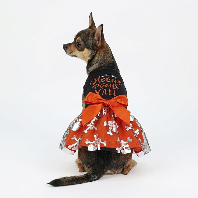 Fitwarm Hocus Pocus Y'all Funny Dog Halloween Tulle Dress, Holiday Dog Clothes for Small Dogs Girl, Funny Pirate Skull Pet Costume, Witch Cat Outfit, Orange, Black, Small