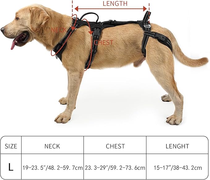 COODEO Mobility Dog Lift Harness, Support Sling & Walking Sling for Dogs, Pet Rear Leg Rehabilitation Support Vest, Dog Carrier for Senior Dogs with Joint Injuries, Arthritis, Up Stair (Black, L)