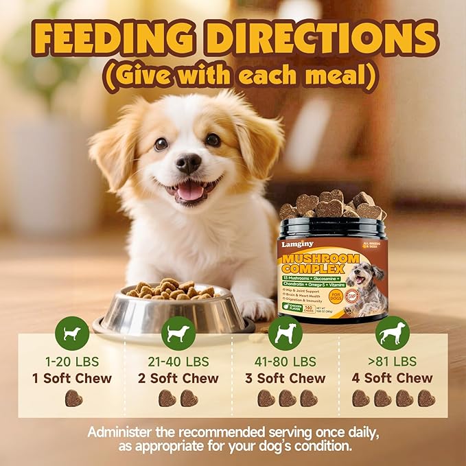 Mushroom Chews for Dogs, Turkey Tail Mushroom for Dogs, Immune Health, Digestive, Skin, Energy, Joint Support, 13 Organic Mushroom Complex with Shiitake, Maitake, Reishi, Lion's Mane, 140 Chews