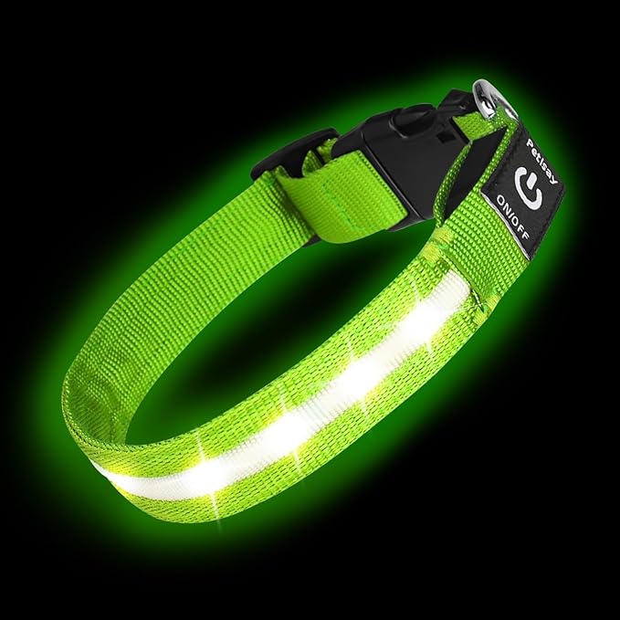 PetIsay Light Up Dog Collar - High Visibility & Durable Nylon Material - USB C Rechargeable & Waterproof LED Collar for Night Walking, Glow in The Dark Flashing (Green, Small)