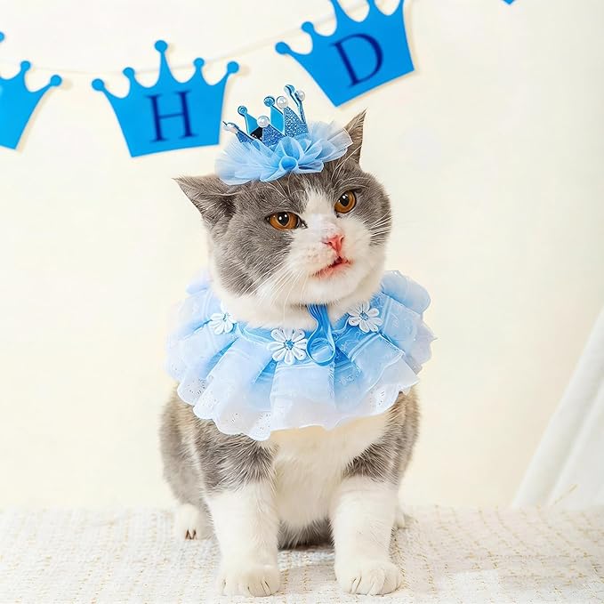 Cat Princess Costumes Cat Crown Hat & Lace Bandana Scarf Set, Puppy Party Hat for Small Dogs & Cats, Lace Outfit for Cats and Small Dogs Birthday Party (Blue)