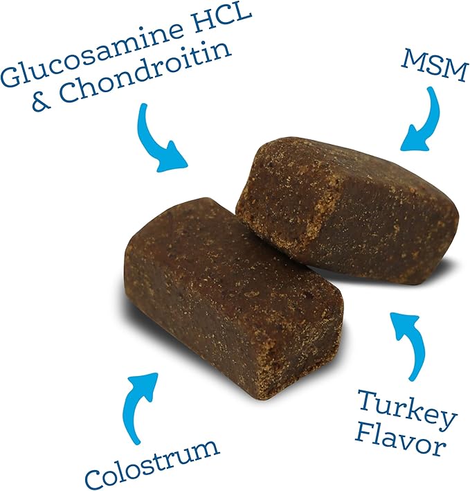 NutriSource AmpliFull Turkey Flavor Mobility Soft Chews for Dogs, Daily Joint Health Supplement with Glucosamine & Chondroitin for Flexibility & Comfort, 70 Chews (1 Pack)