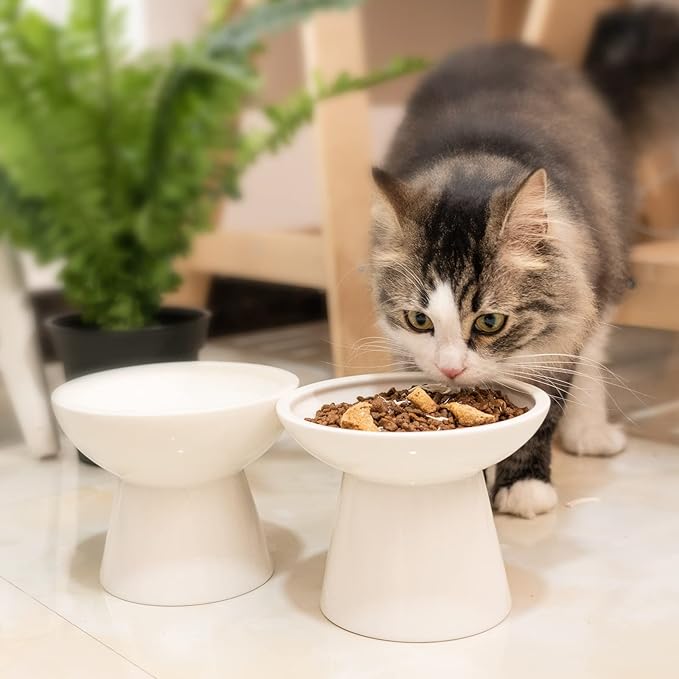 CEEFU Extra Wide Elevated Ceramic Cat Water Bowl - 6.2" Deeper Dish for Whisker Fatigue Relief, 5" Height for Easy Feeding, Lead & Cadmium Free, Durable Raised Cat Bowls, White