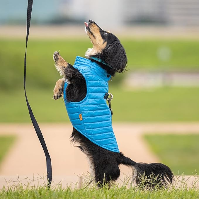 Gooby Puffer Vest - Blue, Large - Ultra Thin Zip Up Wind Breaker with Dual D Ring Leash - Water Resistant Small Dog Sweater Coat
