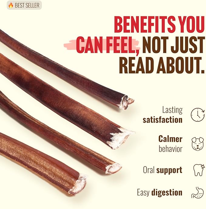 Natural Farm Odor-Free Thin Bully Sticks (12”, 25-Pack) All-Natural Long-Lasting Dog Chews, 100% Beef Pizzle, Grass-Fed, Grain-Free, Protein for Muscle Development & Energy, Perfect for Large Dogs