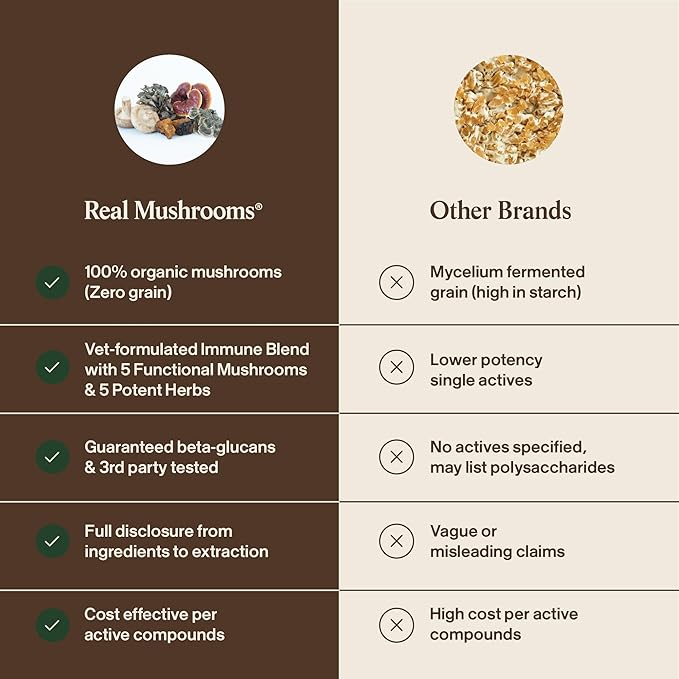 Real Mushroom Immune Pet Chews – For Daily Digestive & Immune Health – Mushrooms for Dogs & Cats Functional Treat – Mushroom Supplement for Dogs & Cats – 1 to 4 Chews For All Breeds & Sizes (60 Count)