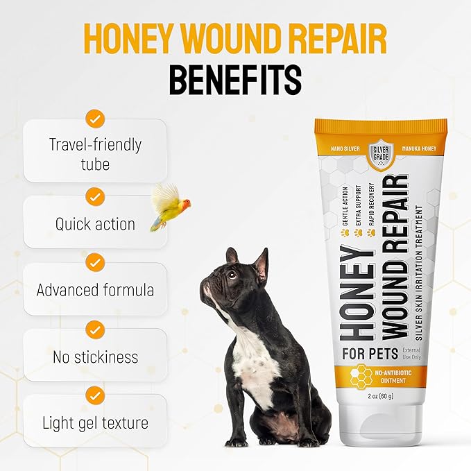 Cat Wound Care Gel for Scratches, Bites & Irritations – Hot Spot Treatment for Cats & Kittens – Honey Wound Repair Ointment in Gel Form with Colloidal Silver & Manuka Honey for Topical Use – 2 Oz Tube