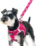 PUPTECK Dog Harness and Leash Set for Small Medium Dogs No Pull Step-in Soft Mesh Puppy Cat Vest Harnesses Reflective at Night, Fuchsia, S