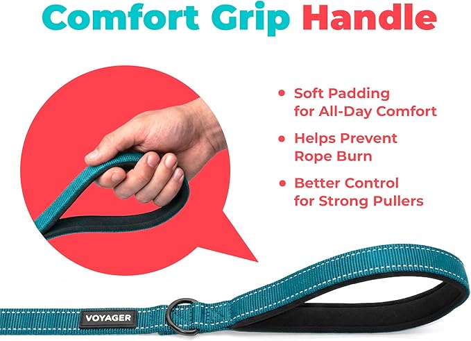 Best Pet Supplies Voyager Reflective Dog Leash or Collar with Neoprene Handle, for Small, Medium, and Large Breed Puppies, Cute and Heavy Duty for Walking, Running and Training - Turquoise (Leash), S