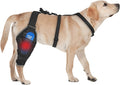 Dog Knee Brace for Back Leg - Adjustable Breathable Canine Leg Wrap with Hot & Cold Gel Packs - Supports Large & Medium Dogs with Arthritis, Hip Dysplasia, ACL Injuries, Right hind Leg (L)
