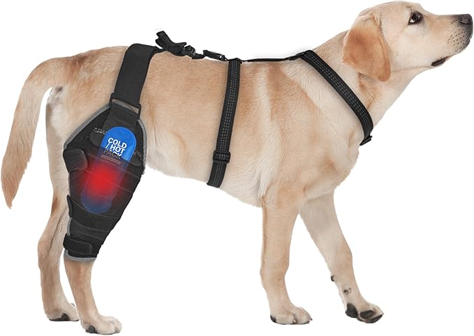 Dog Knee Brace for Back Leg - Adjustable Breathable Canine Leg Wrap with Hot & Cold Gel Packs - Supports Large & Medium Dogs with Arthritis, Hip Dysplasia, ACL Injuries, Right hind Leg (L)