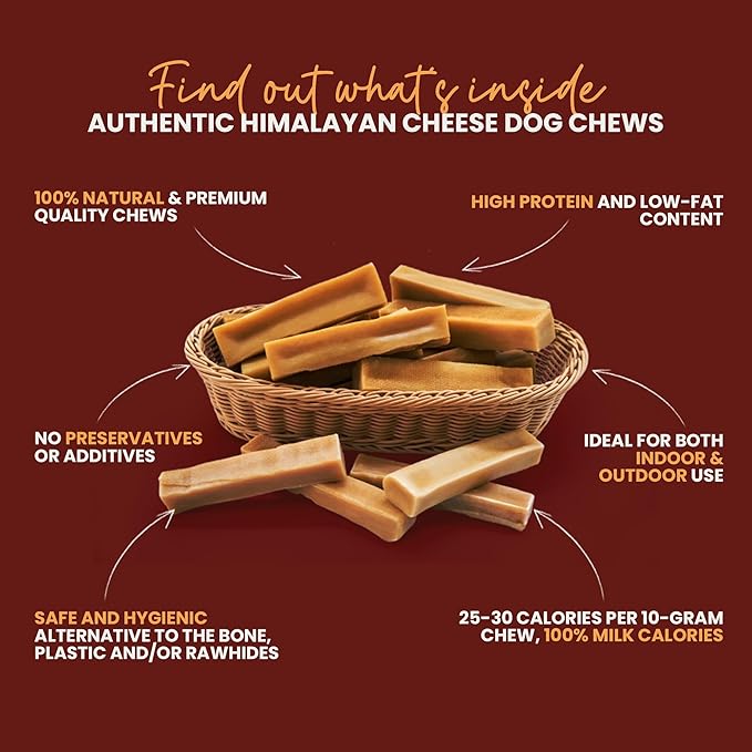 KATHMANDU'S Authentic 100% Natural Himalayan Yak Cheese Dog Chews – Large (Pack of 4) | High Protein, Delicious & Long-Lasting Dog Treats for Aggressive Chewers | Odor & Gluten Free Chews