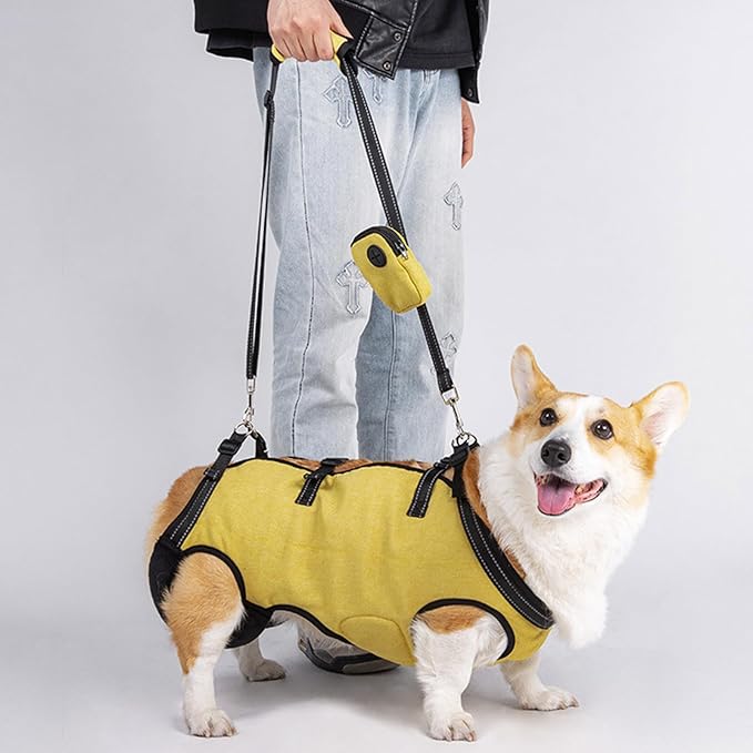 Senior Dog Lift Harness with Reinforced Padding for Post Surgical Let Adjustable for Outdoor Activity Dog Mobility Aid