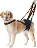 Dog Lift Harness for Extra Large Dogs, Sling for Dogs Back Legs with Handle, Helps Support Weak Hind Legs and Prevent Slipping, Breathable and Easy to Wear, Size XL
