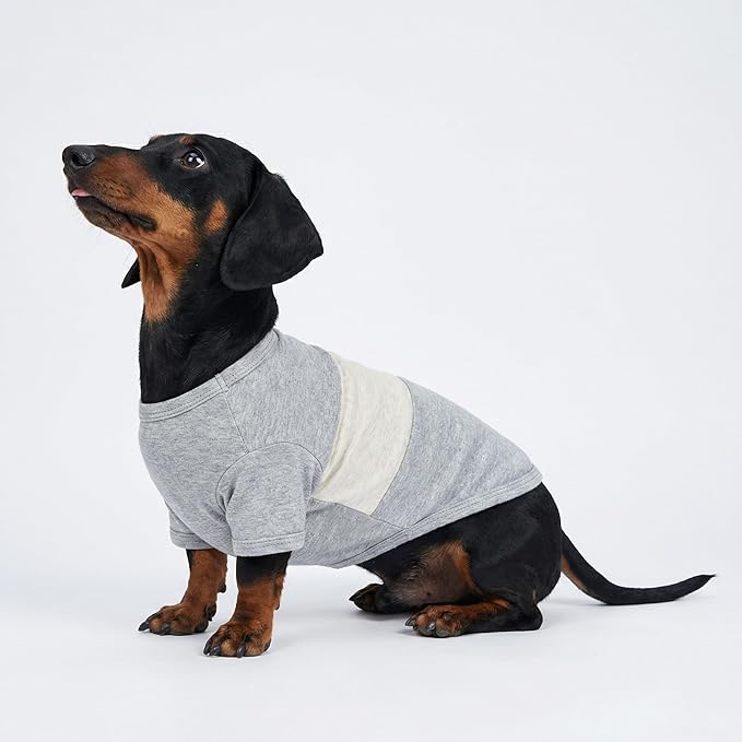 Fitwarm 3 Pack Color Block Striped Dog Shirt, Summer Dog Clothes for Small Dogs, Breathable Lightweight Pet Tshirt with Sleeves, Cat Outfit, Oliver Green, Grey, Black, XXL