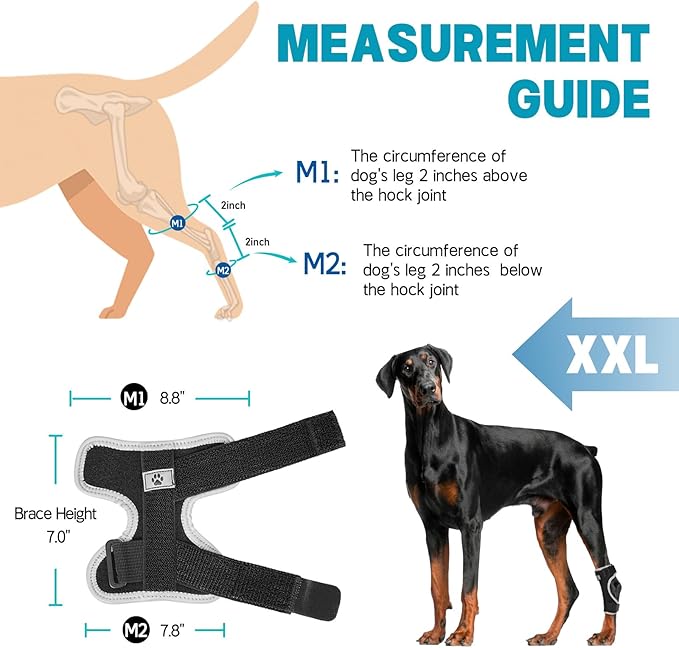 Supet Dog Leg Brace for Back Leg - Hock & Ankle Joint Support for Rear Legs with 2 Metal Springs, Anti-Slip Design & Reflective Trim for Sprain, Arthritis, Injury & Wound Recovery (Black, 2XL)