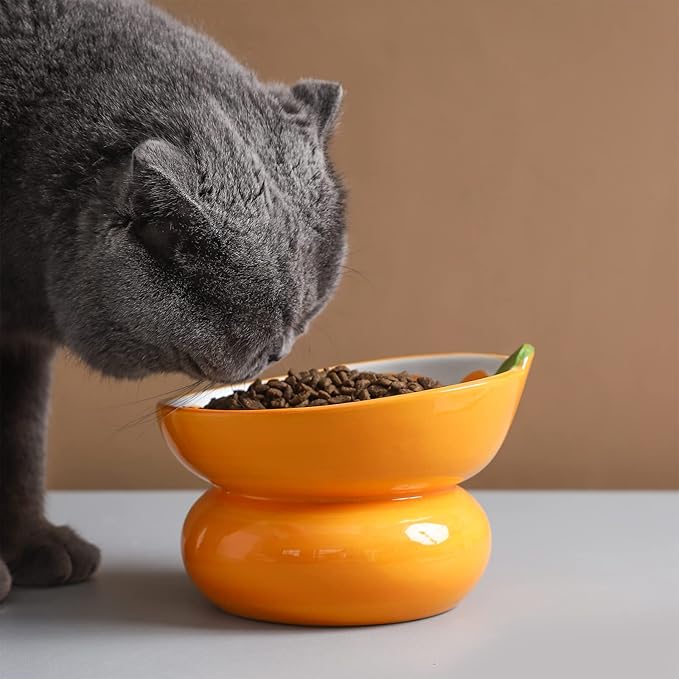 Ceramic Raised/Elevated Cat Food Bowl for Indoor Cats, Anti Vomiting & Protect Pet's Spine, Cute Fruit Themed Tilted Cat Dish for Flat Faced Cats and Kitten (Orange Shaped)