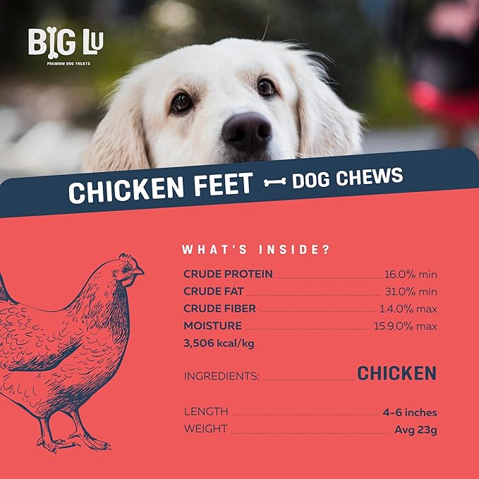 Big Lu – Nail-Free Chicken Feet Dog Chews, (60 Pack) |100% Natural Single-Ingredient Treats, Rawhide-Free, Long-Lasting, Rich in Glucosamine and Chondroitin for Joint Health
