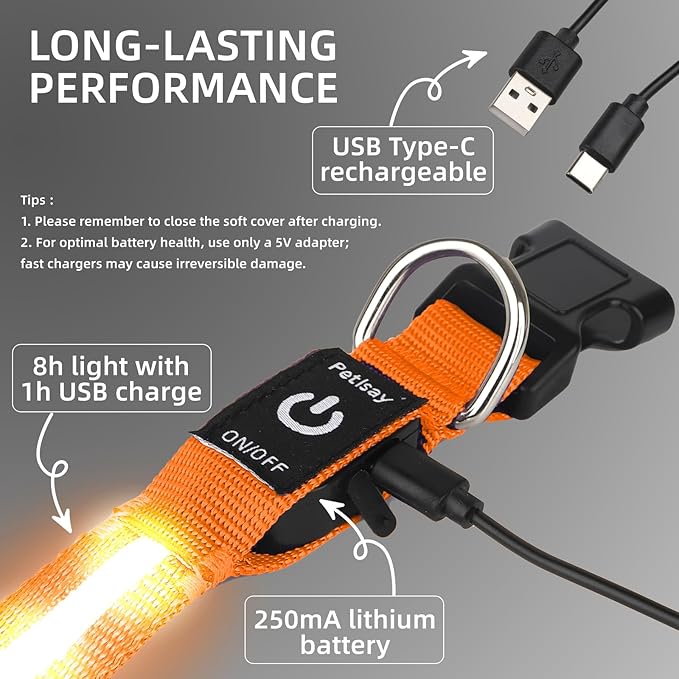 LED Dog Collar for Small Dogs Cats - Fully Waterproof & Adjustable Glow Collar - USB-C Rechargeable for Night Walking, Safety - Flashing Lighted Collar for Dogs(Orange,XS)