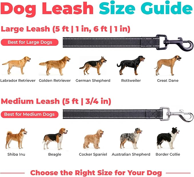 Best Pet Supplies Voyager Reflective Dog Leash or Collar with Neoprene Handle, for Small, Medium, and Large Breed Puppies, Cute and Heavy Duty for Walking, Running and Training - Black (Leash), M