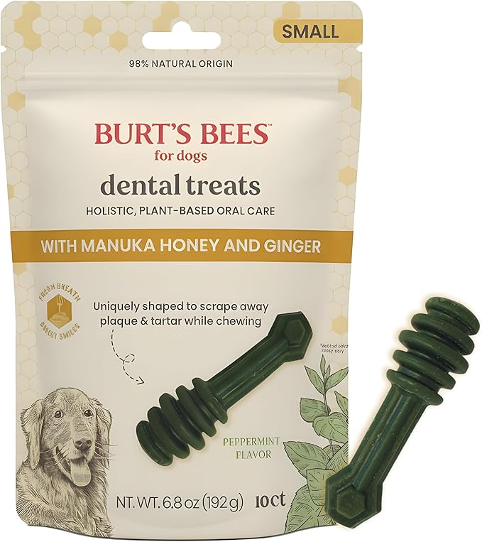 BURT'S BEES FOR PETS Dental Treats for Dogs with Manuka Honey & Ginger, Holistic, Plant-Based Oral Care, 98% Natural Origin Formulas, Peppermint Flavor, Dog Treats Small Dogs, Sz Sm 10ct, 7.4 oz