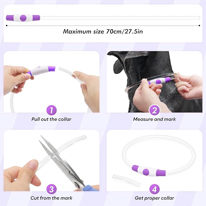 BSEEN Light Up Dog Collar, Rechargeable LED Dog Collar Light Glowing Puppy Collar for Night Walking, TPU Cuttable Lighted Pet Collar for Small Medium Large Dogs (Purple (70cm))