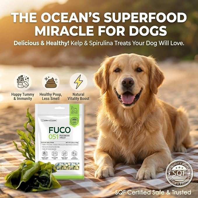 Fuco 051 Fucoidan Treat for Dogs – Immune & Digestive Health, Stool & Odor Support, Antioxidant, Superfood with Spirulina & Kelp, 5.29 oz (150g)