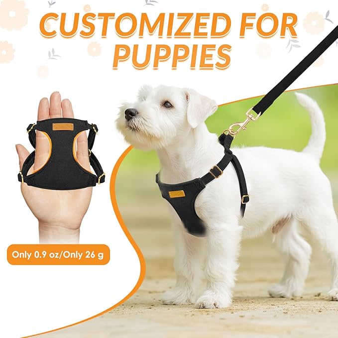 SlowTon Dog Harness Small Sized Dog - Soft XXS Dog Harness and Leash Set No Pull No Chock, Adjustable Lightweight Puppy Harness for XS Small Medium Dogs Cats (Solid Black, XS)