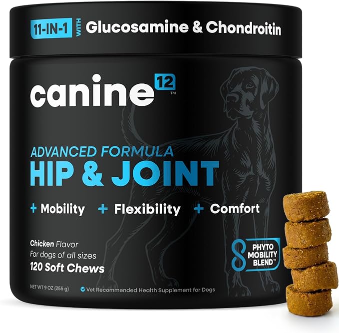 Dog Hip and Joint Supplement with Glucosamine, Chondroitin, MSM, Omega 3s, Green Lipped Mussel – Premium Dog Joint Chews w/Human-Grade & Natural Ingredients, 120 Count