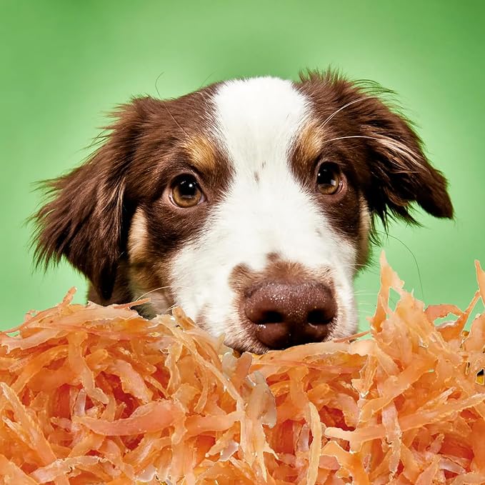 Oven Roasted Single Ingredient Treats for Dogs & Cats | Easy Chew (3.1 oz, Chicken Shreds (Crystal))