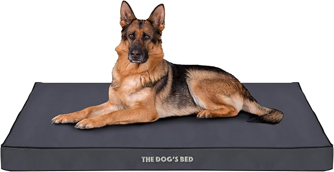 The Dog’s Bed Orthopedic Standard Foam Dog Bed Mattress, Oxford Fabric, Grey with Black Trim, XL