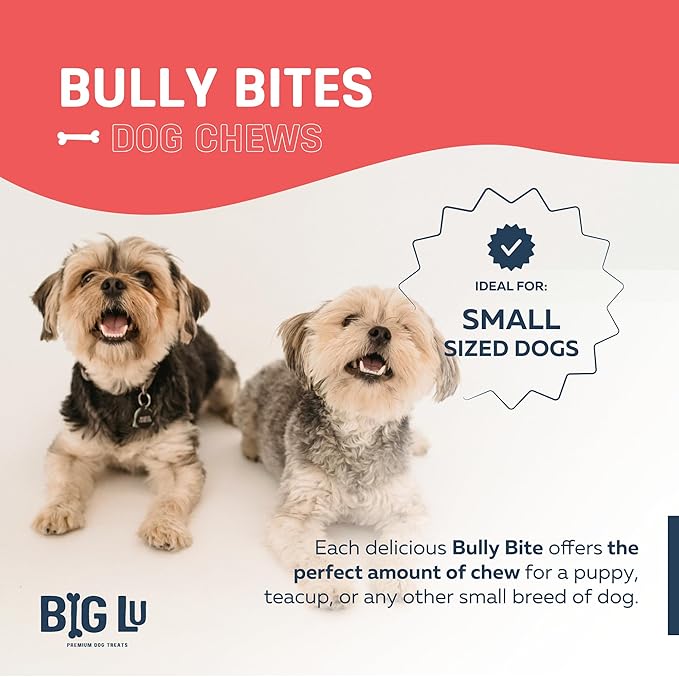 Big Lu - 2-4” Bully and Braided Bites, Variety Bag - 1 lb of 100% Grass-Fed Beef Chews for Small and Medium Dogs, Natural, Fully Digestible, Long-Lasting Treats