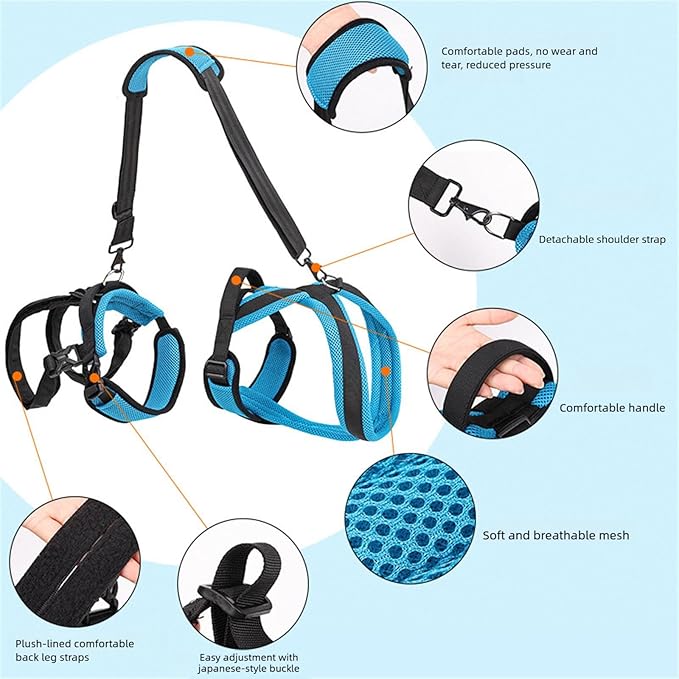 Pet Rehabs Strap for Aging Disabled Dog Nonslip Polyester Senior Mobility Tool for Outdoor Walking Gear Strap