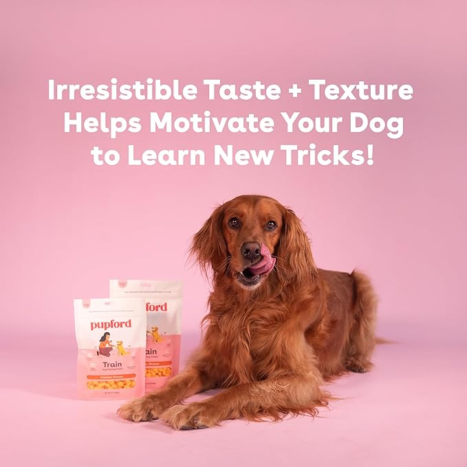 Pupford Training Treats for Dogs & Puppies, 225+ Single Ingredient Bites (Cheddar, 3 oz)