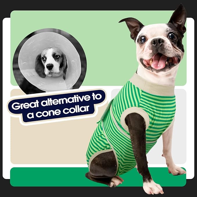FUAMEY Dog Recovery Suit Male,Dogs Surgery Neuter Suits Puppy Spay Shirts for Female Protect Dog's Skin Anti Licking Abdominal Wounds Doggie Onesie Pet Bodysuit Alternative to Cone Green Stripes L