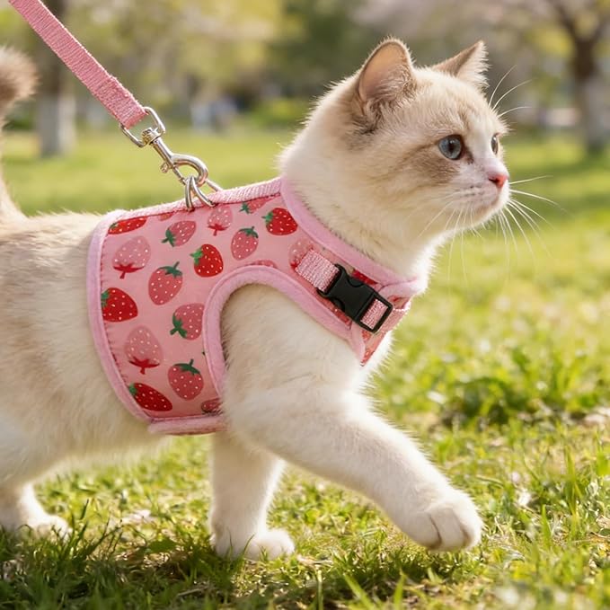 BINGPET Cat Harness and Leash Set Escape Proof, Fashionable Adjustable Mesh Harness for Walking, Soft Cute Breathable Easy Control Cat Vest for Kitten Puppy Small Medium Large Cats