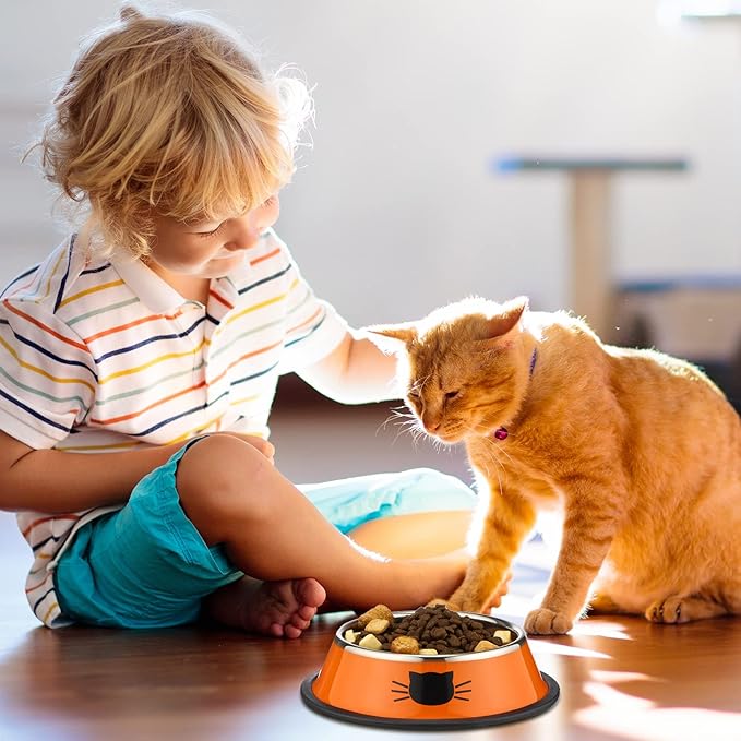Amylove 6 Pcs Cat Bowls for Food and Water Cat Dishes Stainless Steel Pet Food Bowls 7 oz Anti Slip Metal Pet Dish with Removable Rubber Base Thick for Feeding Indoor Kitten Small Dog(Classic Color)