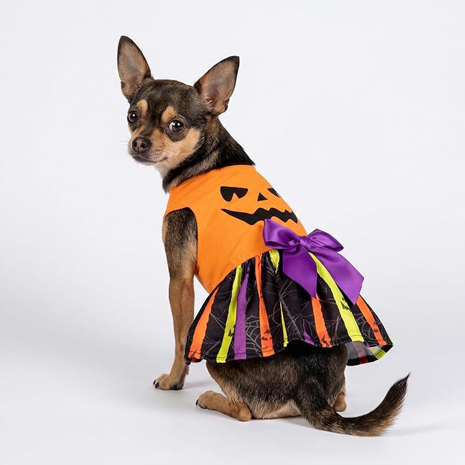Fitwarm Halloween Pumpkin Dog Dress, Funny Dog Halloween Costumes, Doggy Clothes for Small Dogs Girl, Pet Apparel, Orange, Black, Purple, XS