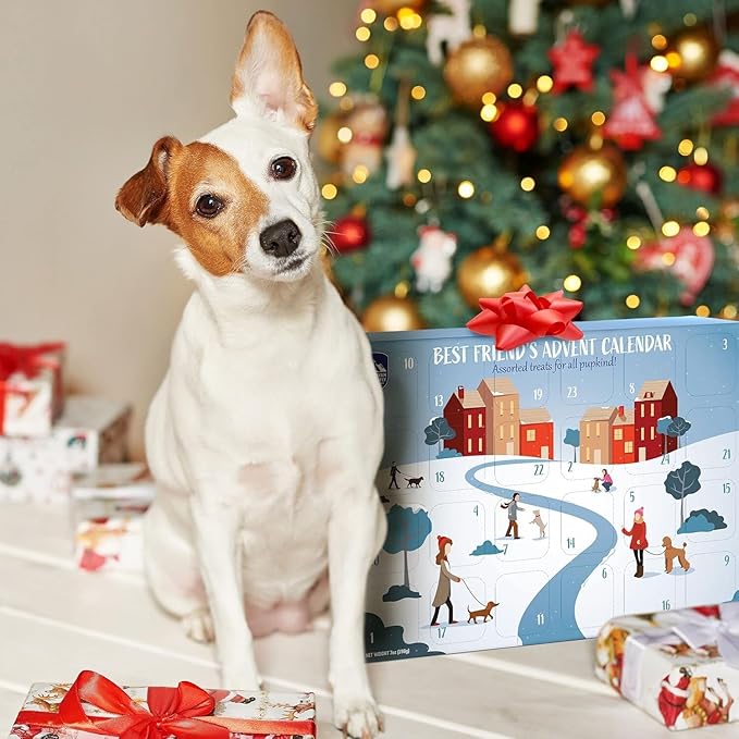 Himalayan Dog Chew Advent Calendar for Pets - Natural Treats Dog Advent Calendar 2025, Flavored Yogurt Sticks and Churros, Christmas Holiday Gift Box for All Breeds, 12 Full Sized Chews for Dogs