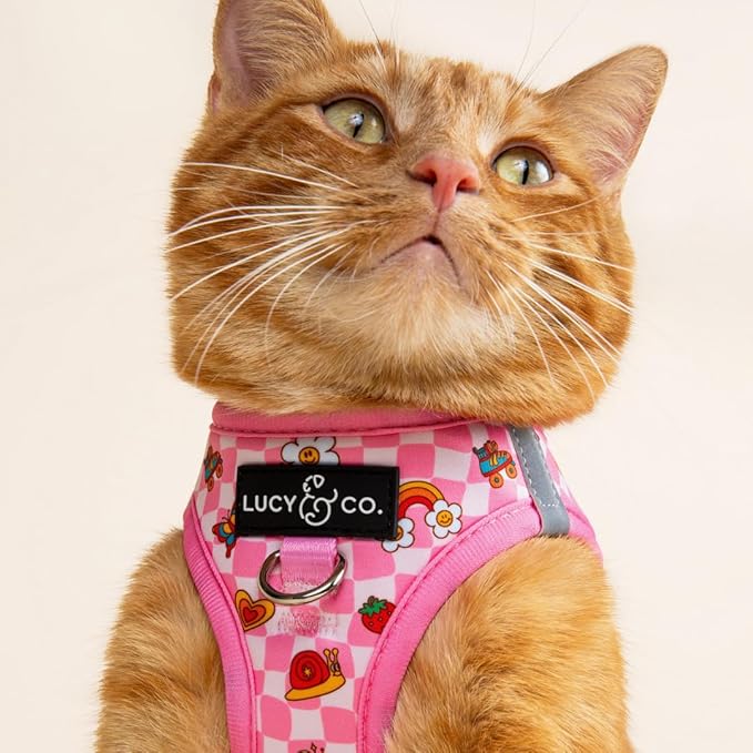 Lucy & Co. Cutie Patootie Step-in Cat Harness & Leash Bundle – Reflective, Breathable & Adjustable Harness for Cats, Kittens & Small Dogs, Lightweight & Secure and Dual Leash Clips – Large