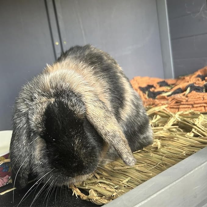 PINVNBY Natural Grass Mat for Rabbits,2 Pack Rabbit Hay Mats,100% Handwoven Hay Chewable Bedding & Cooling Mat for Bunny Guinea Pigs Hamsters Chinchillas - Eco-Friendly Cage Liner,Nesting Toy