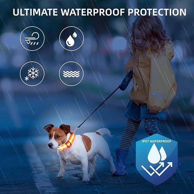 LED Dog Collar for Small Dogs Cats - Fully Waterproof & Adjustable Glow Collar - USB-C Rechargeable for Night Walking, Safety - Flashing Lighted Collar for Dogs(Orange,XS)
