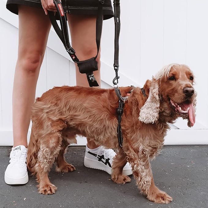 EzyDog Crosscheck No Pull Dog Training Harness – 2-in-1 Escape Proof Reflective Dog Harness for Easy Controlled Walks (XL, Black)