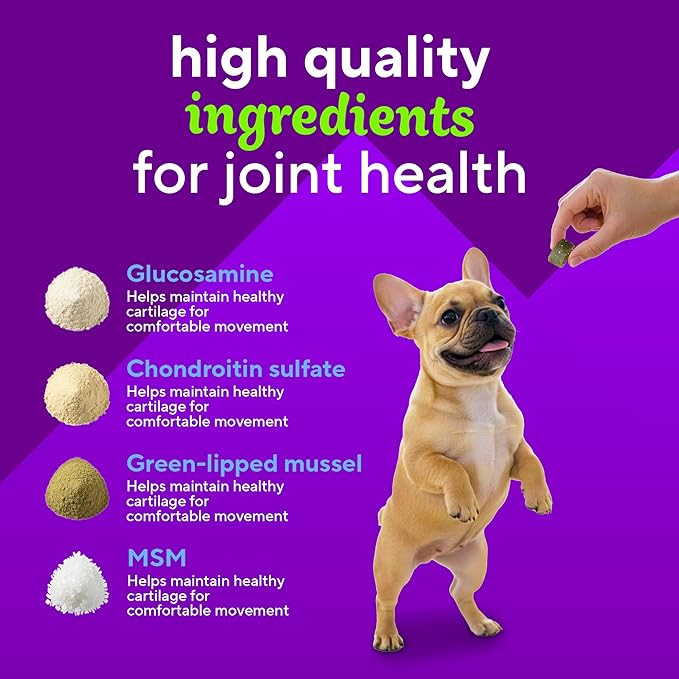 VitaFusion Dog Hip and Joint Supplement Glucosamine, Chondroitin, MSM, Omega-3 & Green-Lipped Mussel, Superfoods Blend. Flexibility and Cartilage Health. Wellness for Puppies to Senior Dogs,120 Chews.