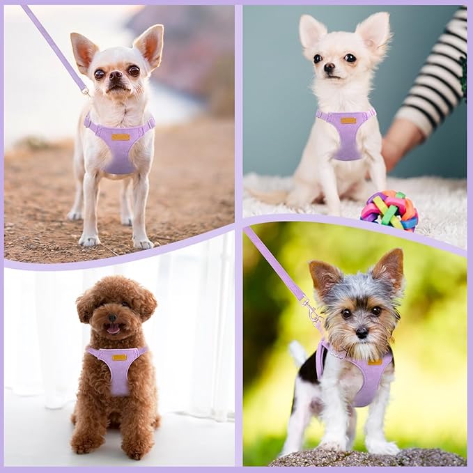 SlowTon Dog Harness Small Sized Dog - Soft XXS Dog Harness and Leash Set No Pull No Chock, Adjustable Lightweight Puppy Harness for XS Small Medium Dogs Cats (Solid Purple, M)