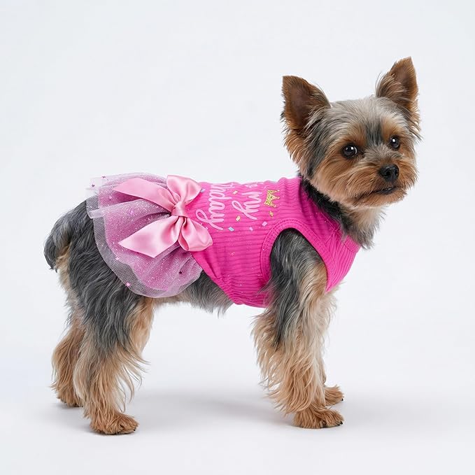 Fitwarm It's My Birthday Dog Dress - Pink Bowknot Dog Clothes for Small Female Puppy, XXS