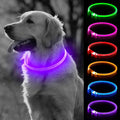 BSEEN Light Up Dog Collar, Rechargeable LED Dog Collar Light Glowing Puppy Collar for Night Walking, TPU Cuttable Lighted Pet Collar for Small Medium Large Dogs (Purple (70cm))